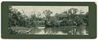 Dane Park Panoramic Card 1908 [PC]